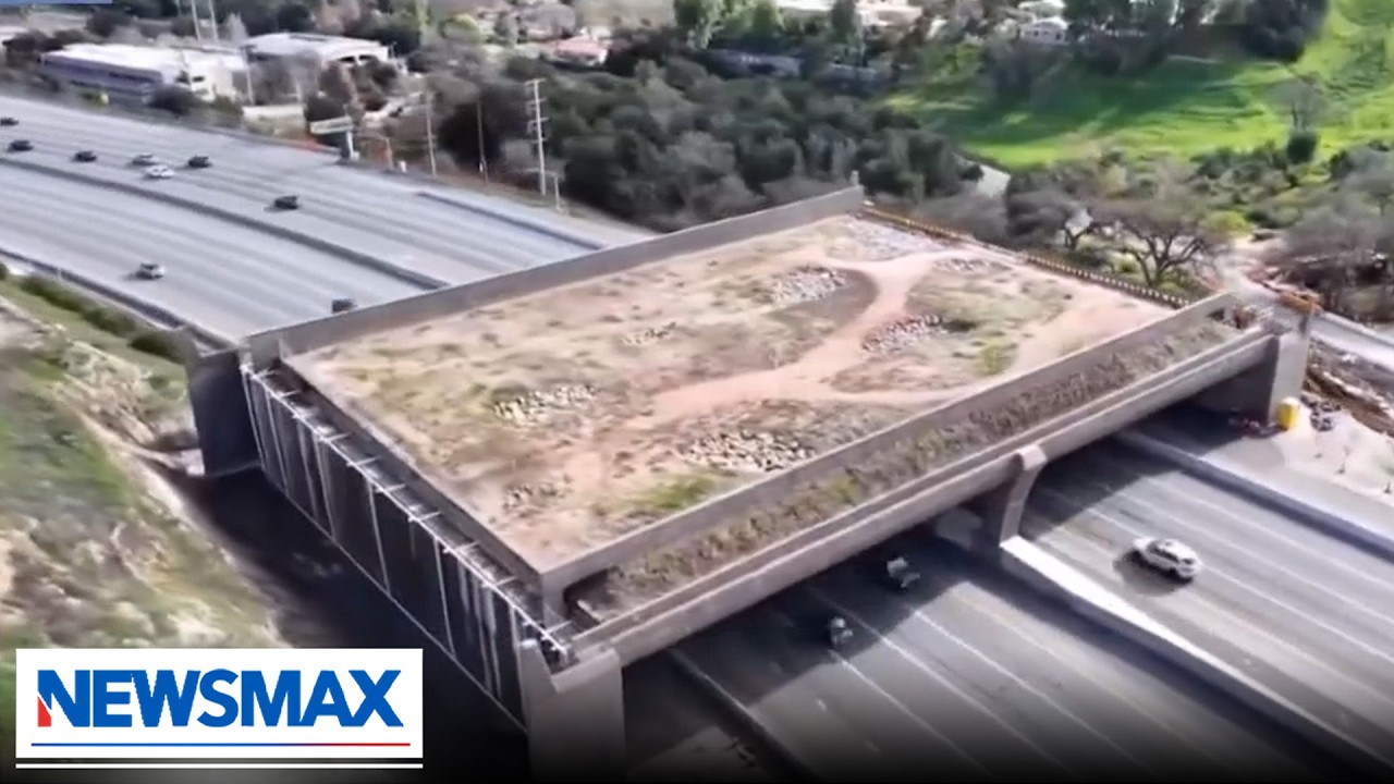 'Gavin Newsom's bridge to nowhere': The Right Squad