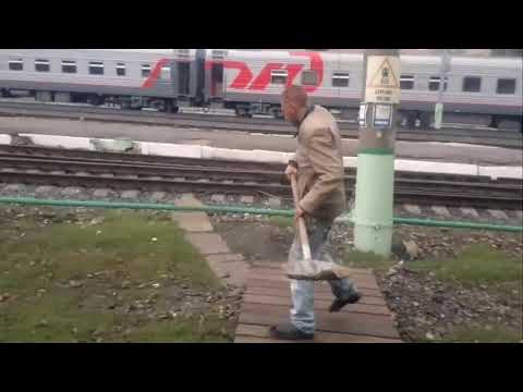 Насрал, иди убирай кавэлики