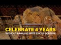 Celebrating 4 Years Of Ringling Bros Closed