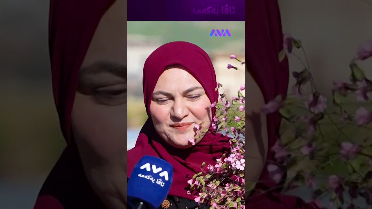 ڤیدیۆ | ئەم گوڵە جوانەم لە دەشت بۆ خوشکەکەم هێناوە