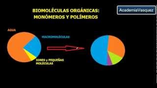 Biomoléculas Orgánicas: Monómeros y Polímeros
