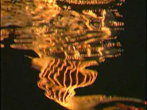 Chatrik Chitvat Barsat Mein [Full Song] Karou Benanti