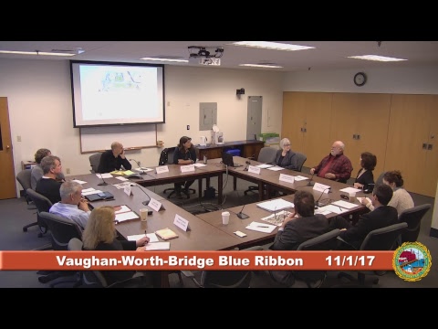 Vaughan-Worth-Bridge Blue Ribbon Committee 11.1.17