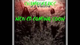 swampfreaks, new album,featuring, andrew mcdermott ,mac from threshold