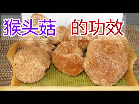 仰渭丁片