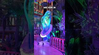 Night Time Vibes on the Margaritaville at Sea Islander #Cruise #CruiseLife