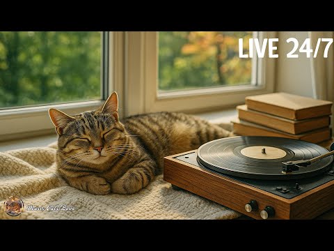 Cat Calming Music 🐶 Gentle Melodies to Soothe Nervous Cats🎵 Healing Music 💖 Deep Sleep