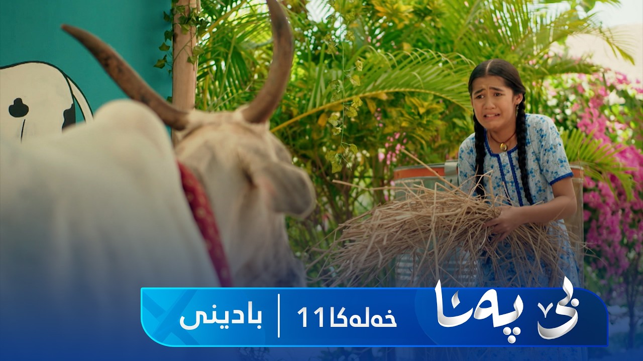 ڤیدیۆ | Bê Pena - Badini Xeleka 11 | بێ پەنا - بادینی خەلەکا ١١