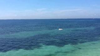 preview picture of video 'www.bestcebucondo.com - Tranquility and Seaview at Vistamar Beach, Mactan'