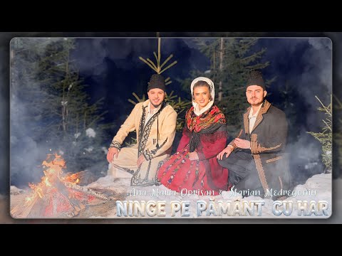 Marian Medregoniu and 2 more