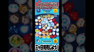 【5/16】三が日まであと230日‼️