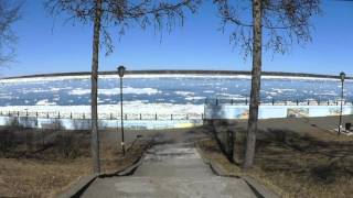 Тарталетки & Ко