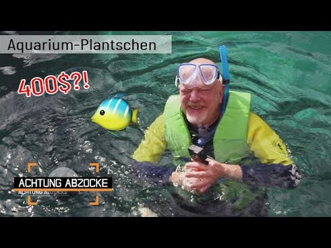 Bunte Fische und Korallen im Meer bestaunen? 🤿 Oder im Beton-& Plastik-Aquarium? | Achtung Abzocke
