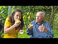 LEMON How Does It Grow ITALY SPECIAL Sweet Amalfi Lemons