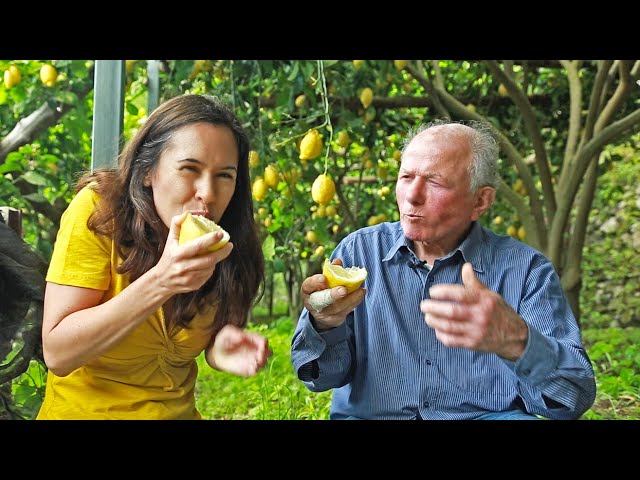 Video Pronunciation of amalfitano in English