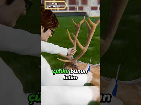 Geyiğin Boynuzuna Kesik Atıyorlar Çünkü...