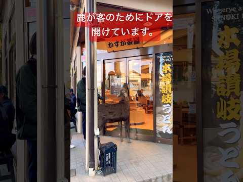 鹿が客のためにドアを開けています。 Nara Park deer 🦌 in japan #travel