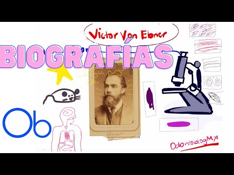 Biografía: Victor Von Ebner 🔬 🦷