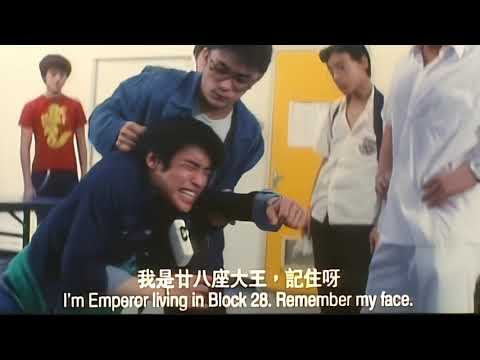 人起朵你起朵