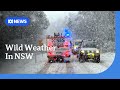 Woman Missing In Floodwaters As Rain And Heavy Snow Lash Parts Of NSW ABC NEWS
