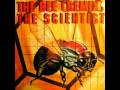The Scientist - The Bee - Honeycombe Remix 