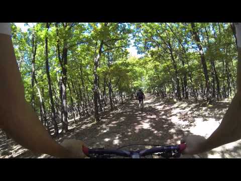 Slămnești - Dealul Leului - Zăicoiu - Nistoi - Golumbu - Slămnești