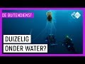 DIEP IN DE ZEE FILMEN ALS JE DUIZELIG BENT #3 | Duikverhalen van De Buitendienst | NPO Zapp