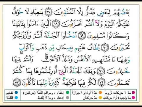 القرآن الكريم بالتفسير الميسر الصفحة 494