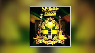 Shaggy....Trouble Under Your Roof [2013] [PCS] [720p]