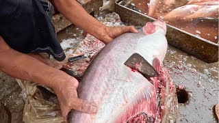 Tasty Pangas Fish Cutting in Fish Market by Expert