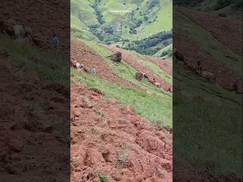 arando morros inclinados rio manso