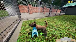 VideoImage1 Animal Shelter - Puppies & Kittens DLC