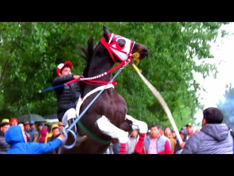 El Magia Negra - Sebastián Almendras "El Cuarto De Milla" Corridos De Caballos