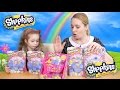 Shopkins Series 1 - 5 and 12 Packs, Plus The ...