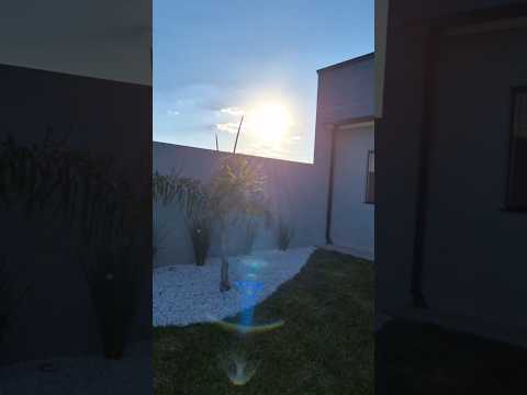 Dia de sol por aqui na casa 339 ☀️😍🙌