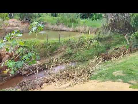 Araponga - MG 