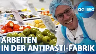 20.000 Eimer Frischkäse pro Jahr! 2 Tage in der Antipasti-Fabrik | Galileo | ProSieben