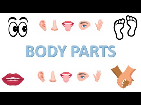 Body parts