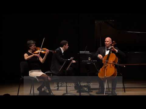 Chopin: Trio in G minor, op.8