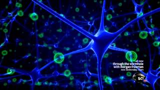 Discovery Science's: Through the Wormhole with Morgan Freeman - Advanced Brain Monitoring Technology