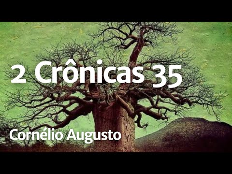 Bíblia Falada | 2 Crônicas 35