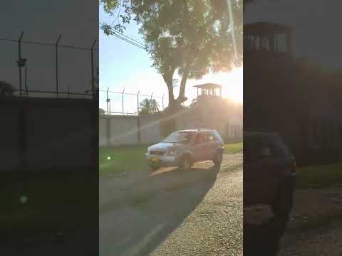 reflexión de los errores se aprende