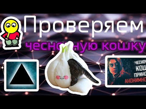 Проверяем "чесночную кошку" GarliCat - OnionCat