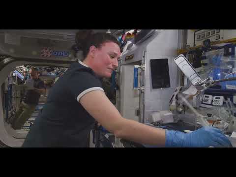 Out of This World Clarity: Witness the Stunning Ultra HD Footage from Space