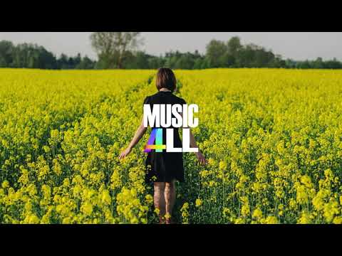 Nekzlo - Bloom [Vlog No Copyright Music]