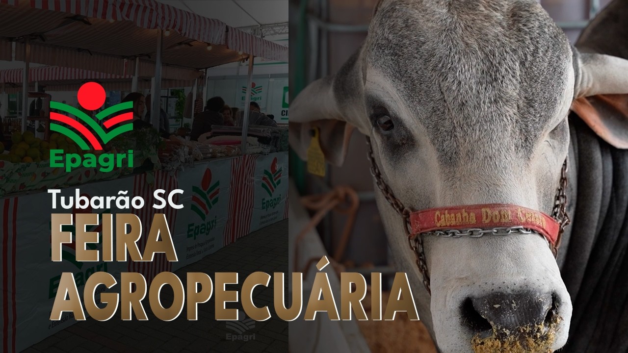 8ª Feira Agropecuária de Tubarão: pecuária de corte foi destaque