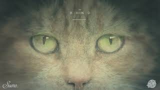 Kiko - M25 (Original Mix) [Suara]