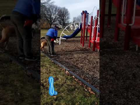 ICN3  Ultimate- Send to Place