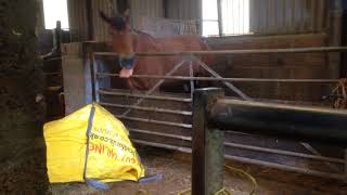 New Auto Feeding System at Brendon Manor