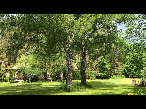 Agroturystyka Lema PROMO 2022